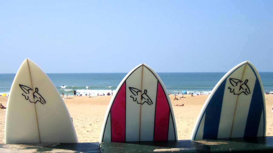 SURF AND LIFE COACHING